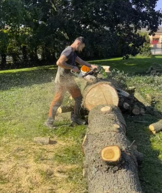 élagueur taille et abattage d'arbres